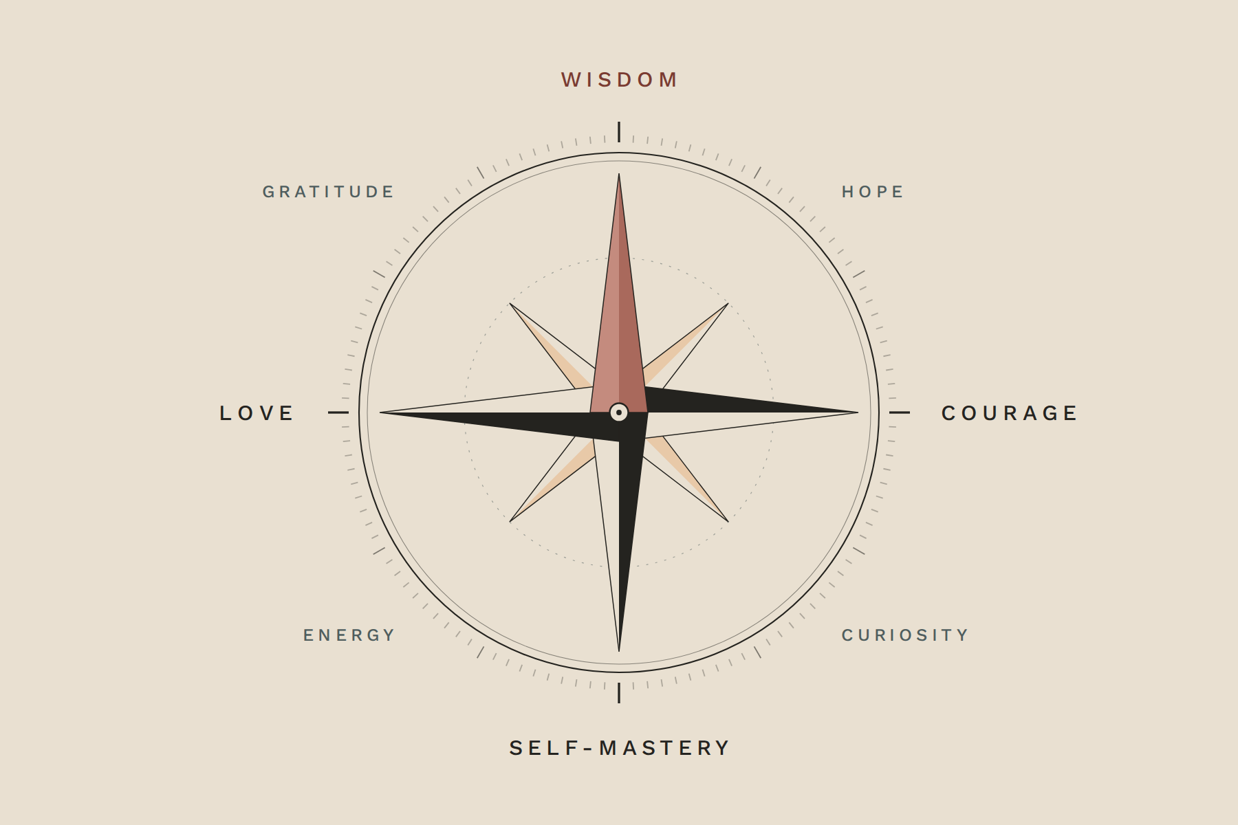 Compass of the virtues: wisdom, courage, self-mastery, love, hope, curiosity, energy and gratitude