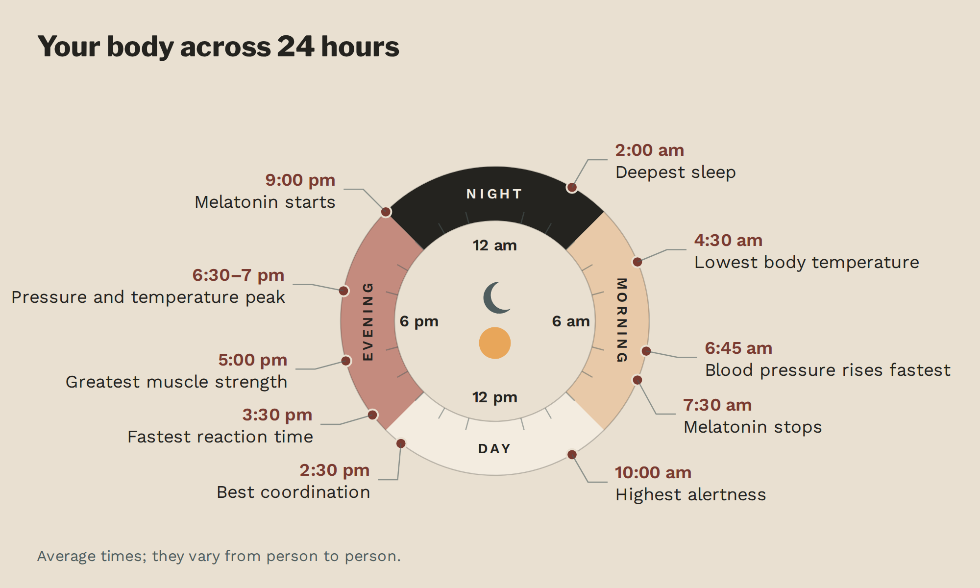 24-hour clock showing how the body changes through the day