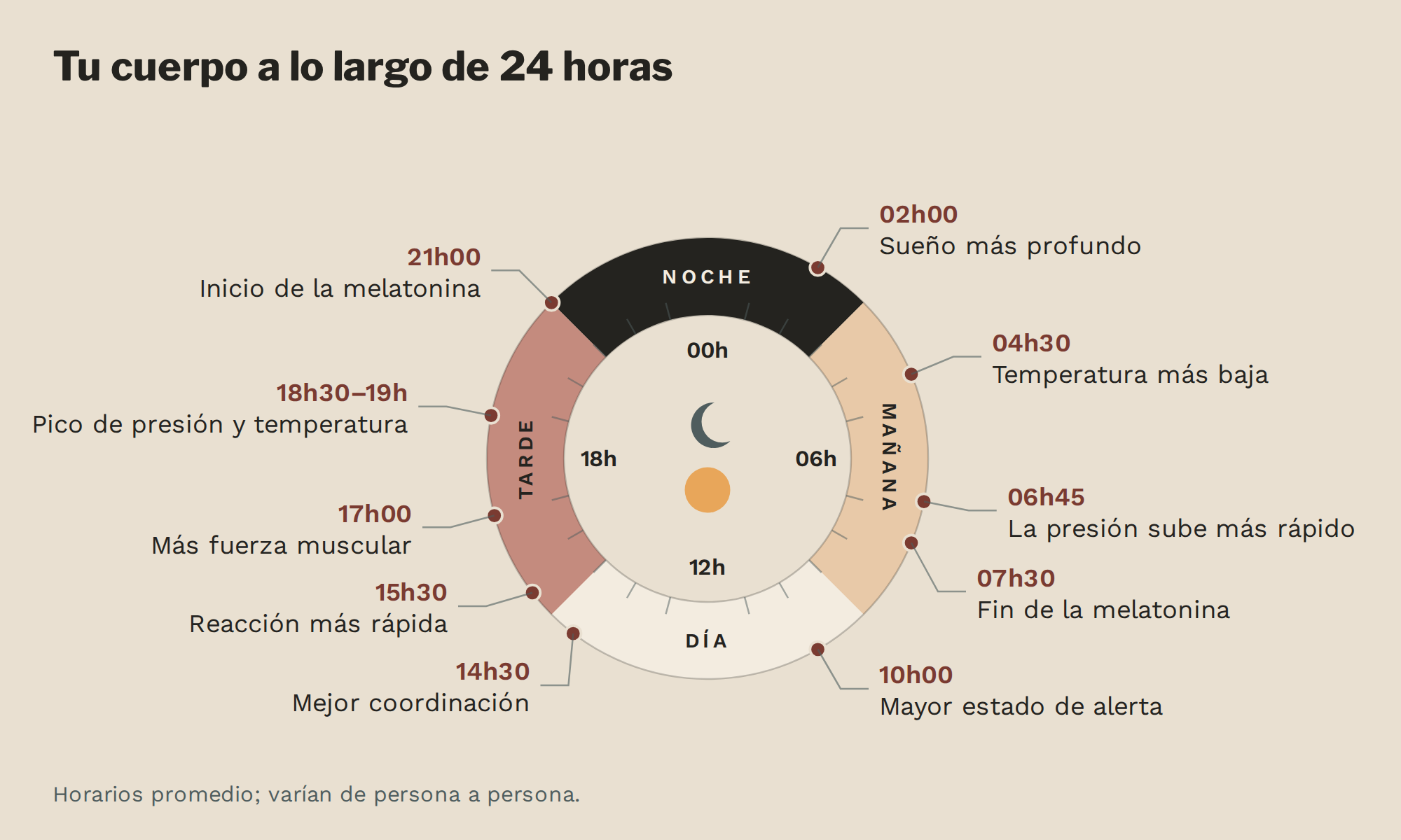 Reloj de 24 horas que muestra cómo cambia el cuerpo a lo largo del día
