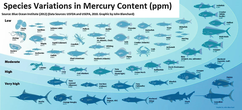 Mercurio em peixes